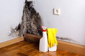 Best Mold Removal for HVAC Installations  in Raleigh, NC